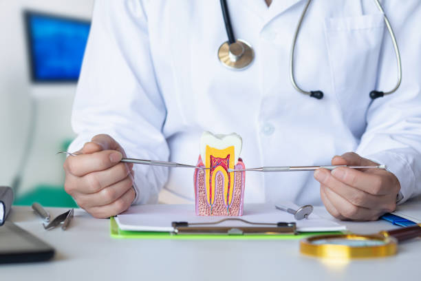 Best Emergency Tooth Extraction in Westminster, TX